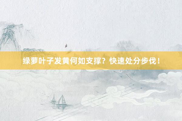 绿萝叶子发黄何如支撑？快速处分步伐！